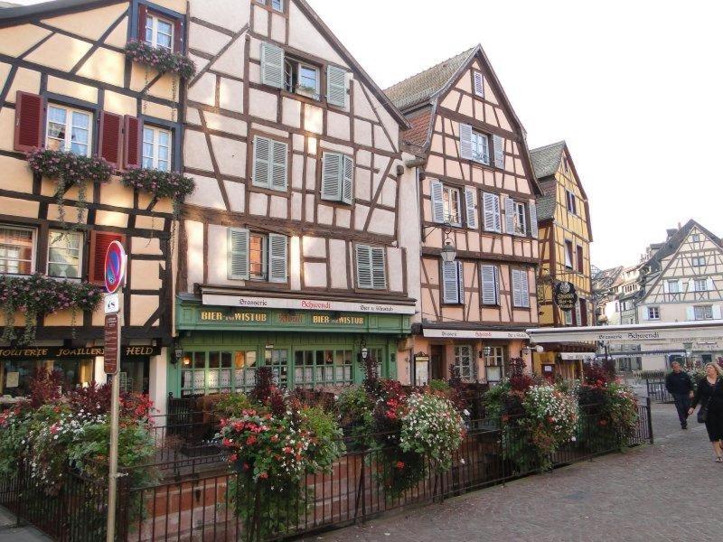Historical Town Center Cosy Flat Apartment Colmar Luaran gambar