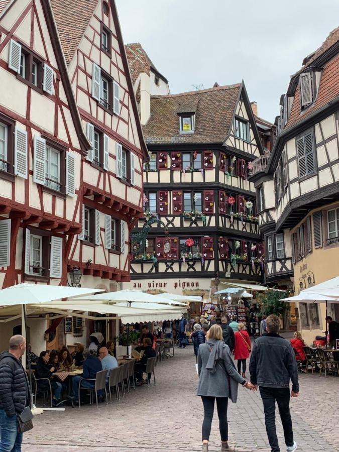 Historical Town Center Cosy Flat Apartment Colmar Luaran gambar