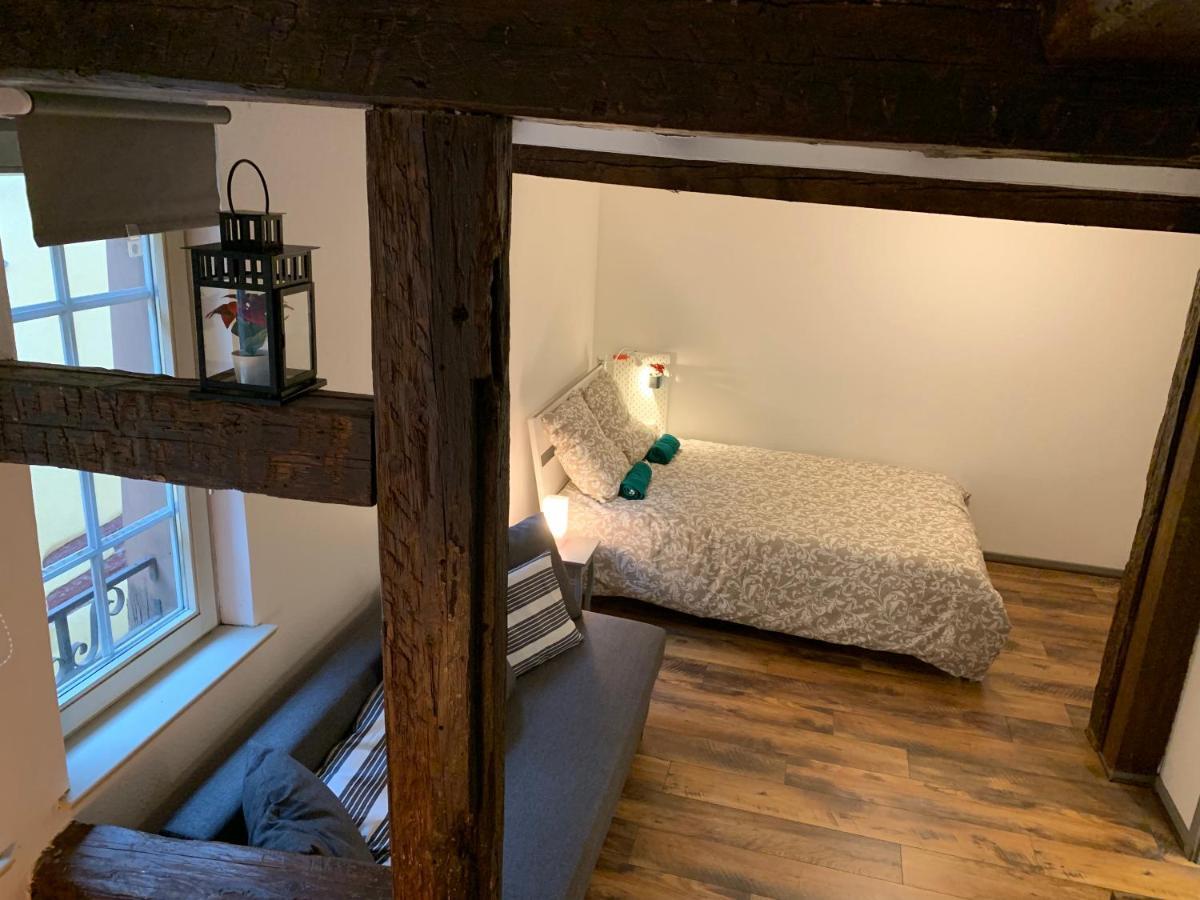 Historical Town Center Cosy Flat Apartment Colmar Luaran gambar